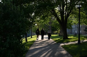Three people walk along a tree-lined sidewalk on The College of Wooster campus during golden hour. Sunlight filters through the leafy canopy, casting long shadows across the path, with campus buildings, benches, and lampposts visible in the background.