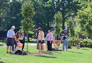 tree-planting-Dilyard2526-5846-wr-2