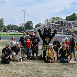 People and dogs on field